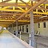 Dřeveš, přístavba kravína K76 | Stáje | ELYONDA | ELYPLAST